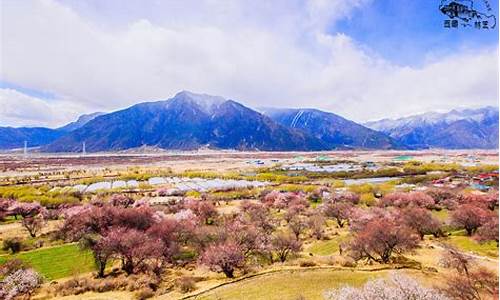 林芝旅游景点大全排名_林芝旅游景点大全