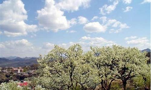 梨树天气预报梨树_梨树天气预报一周