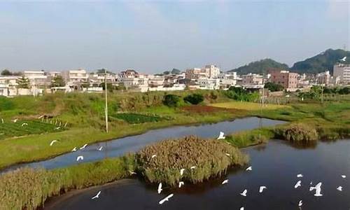 海丰县天气预测查询_海丰县天气预测