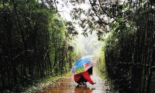 重庆 一直下雨_重庆一直下雨能去旅游吗