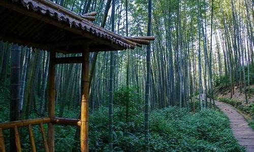 蜀南竹海景区天气预报三天_蜀南竹海天气预报15天天气