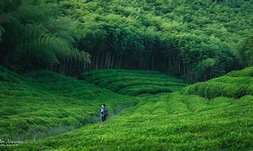 莫干山必去八个景点简笔画图片_莫干山必去八个景点