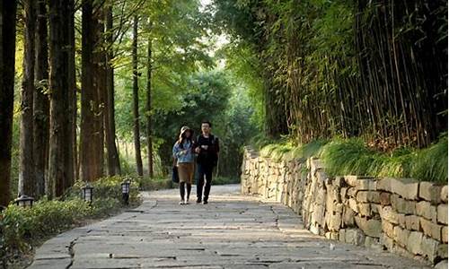 乌镇天气预报7天景区天气_乌镇天气预报7天景区天气查询