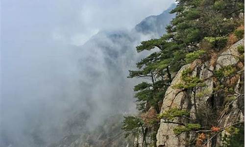 天堂寨风景区一周天气_天堂寨天气预报明天天气