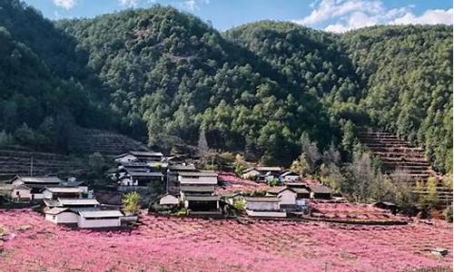 丽江一周天气预报2345天气查询表_丽江 天气预报15天查询