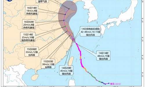 2022年太平洋台风季_2021年太平洋台风季百度百科