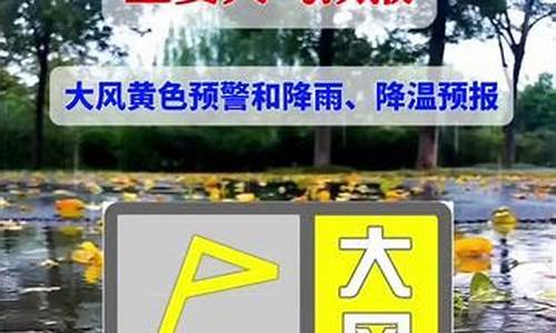 滨州天气预报15天查询 一_滨州天气预报15天查询各地