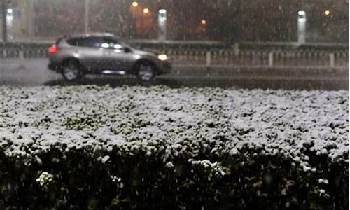 天气预报28号有雨吗_28号有雨夹雪吗